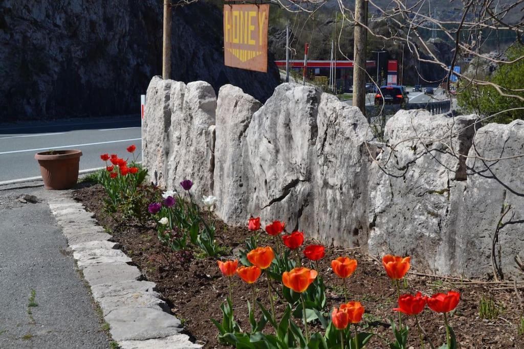 Una Apartment Cetinje Kültér fotó